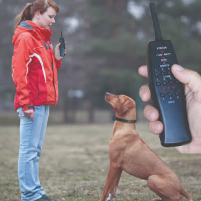 Remote Training & Bark Control Remote Trainer