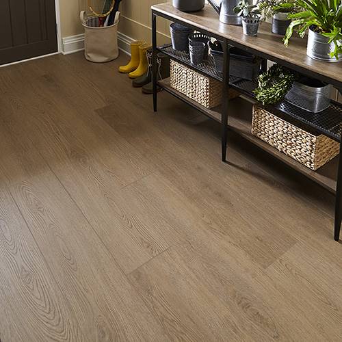 Golden Arowana Transfer Page Costco Next