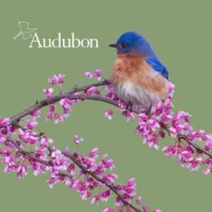 Audubon® Native Trees & Plants