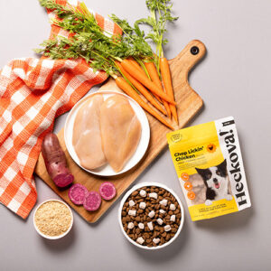 Treats & Supplements